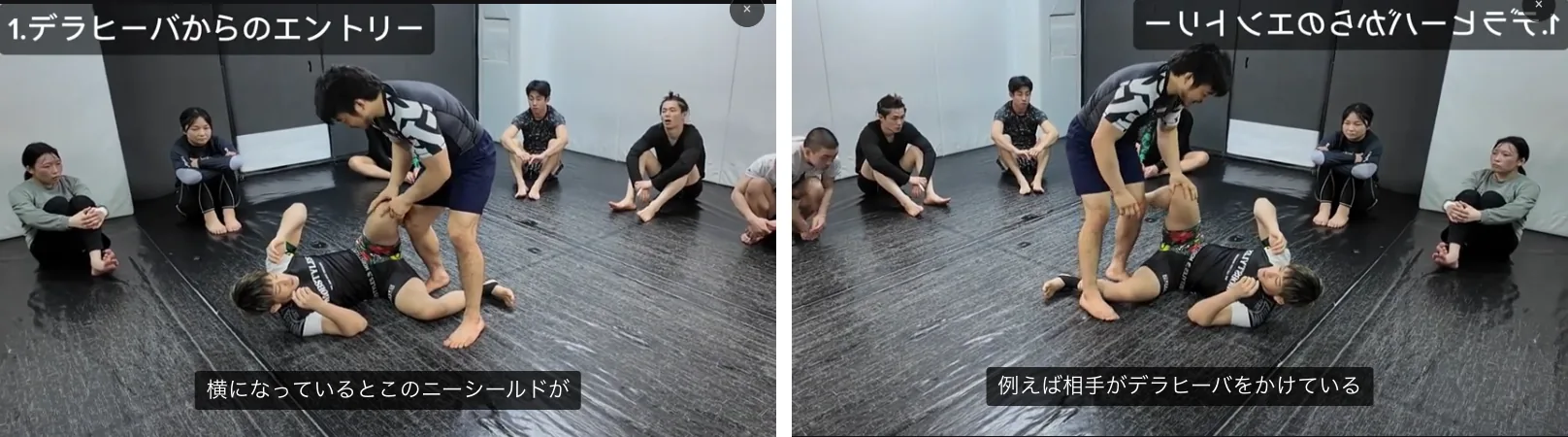 左が元の向き、右がミラー再生で左右を反転した画面