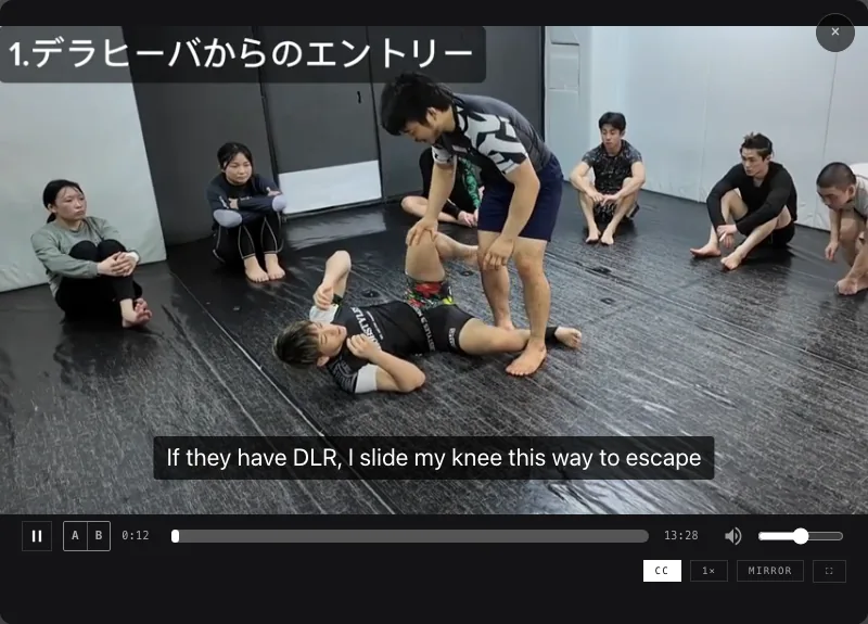 日本語で教えている動画に英語の字幕が出ている画面